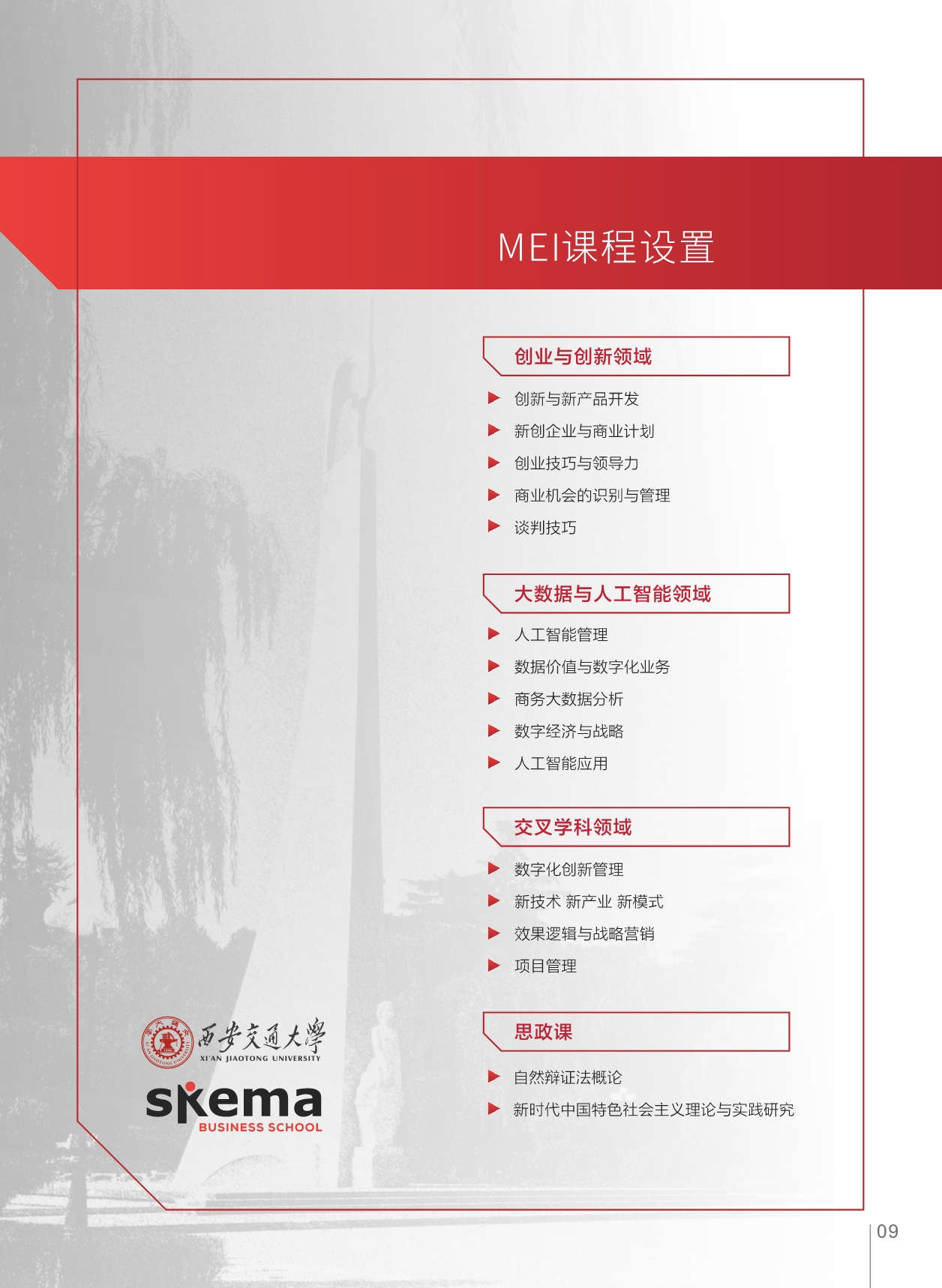 西安交通大學-法國SKEMA商學院創業與創新管理碩士_第11頁