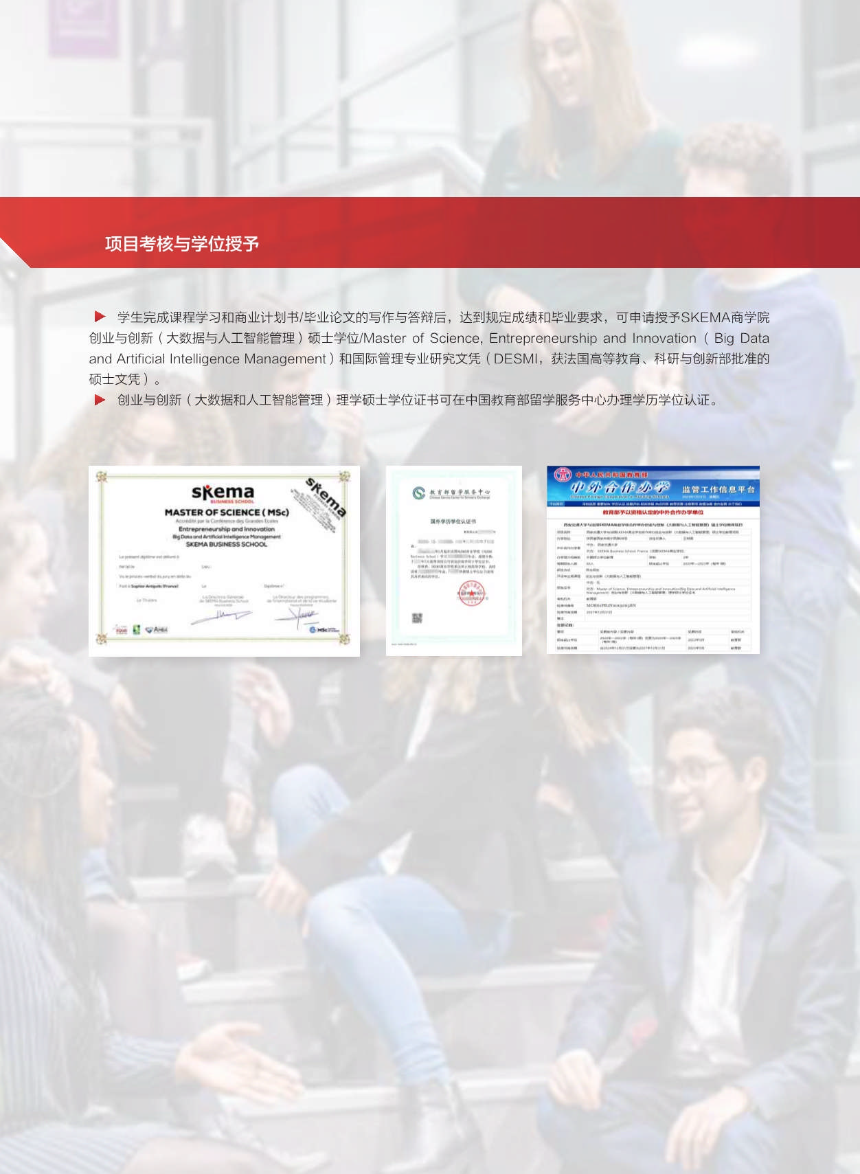 西安交通大學-法國SKEMA商學院創業與創新管理碩士_第19頁