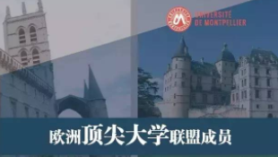 8.10-11|試聽課程《（健康領域）信息技術管理》