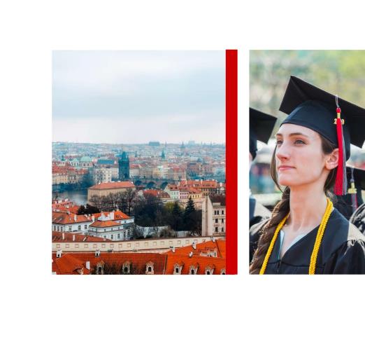 美國伊利諾伊理工大學工商管理碩士IIT MBA簡章